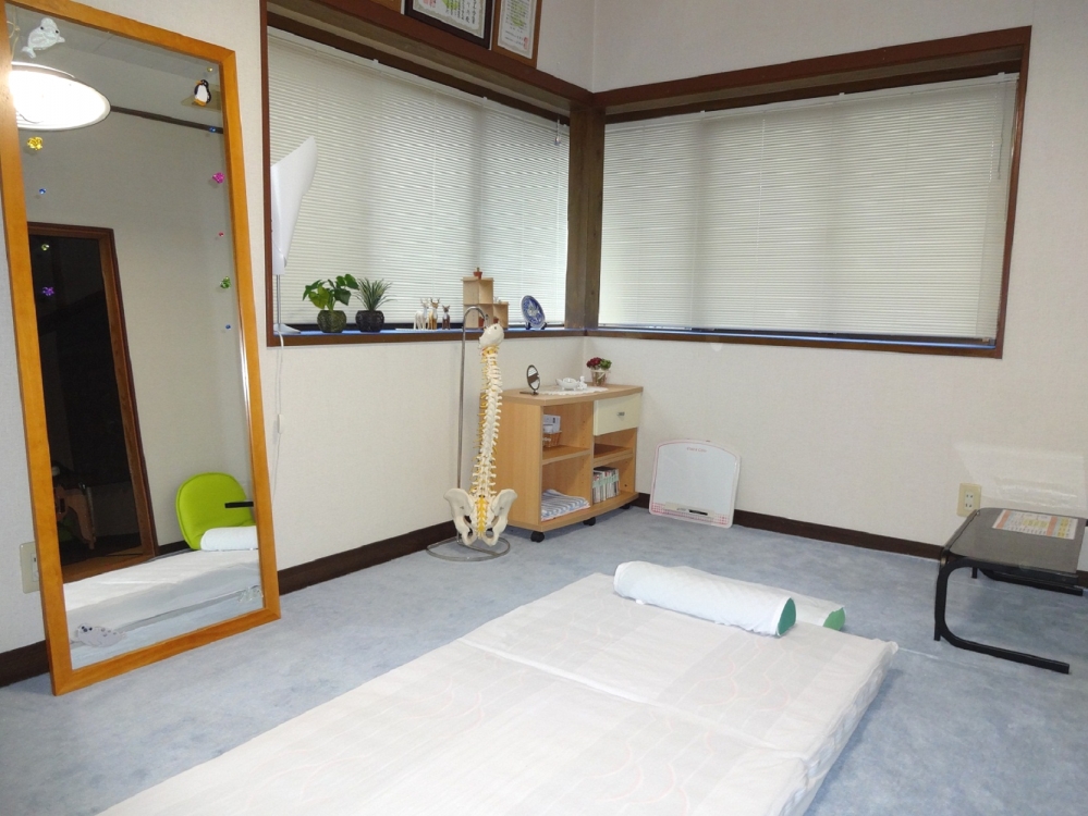 整体（カイロプラクティック）コースの画像